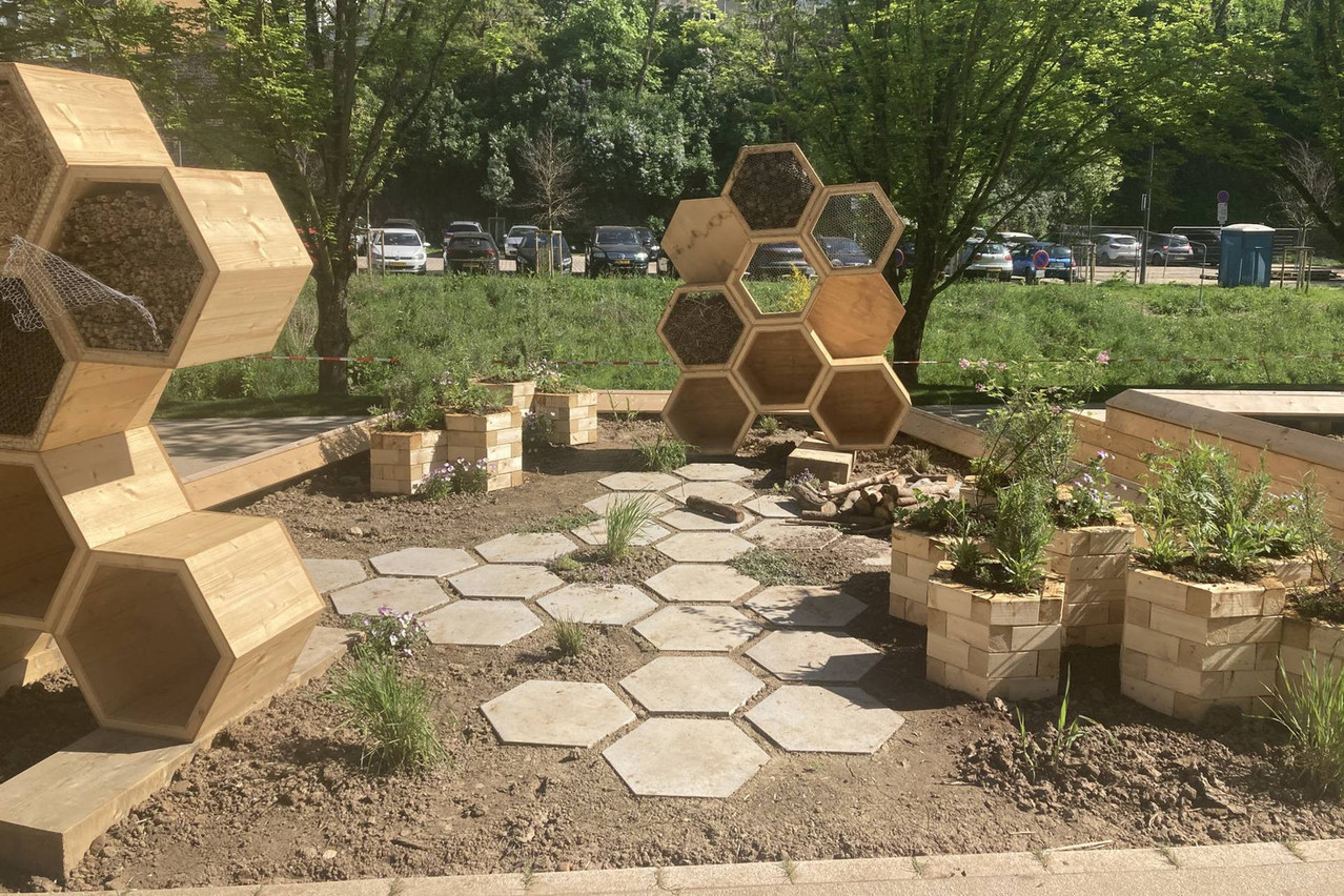 The “Nice to bee” corner of the Luxembourg Urban Garden. Photo: Céline Coubray/Maison Moderne