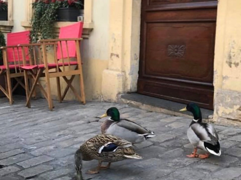 Sit down at the Café des artistes, in this quiet alleyway, and put the world to rights whilst sipping a springtime drink. Photo: Café des artistes