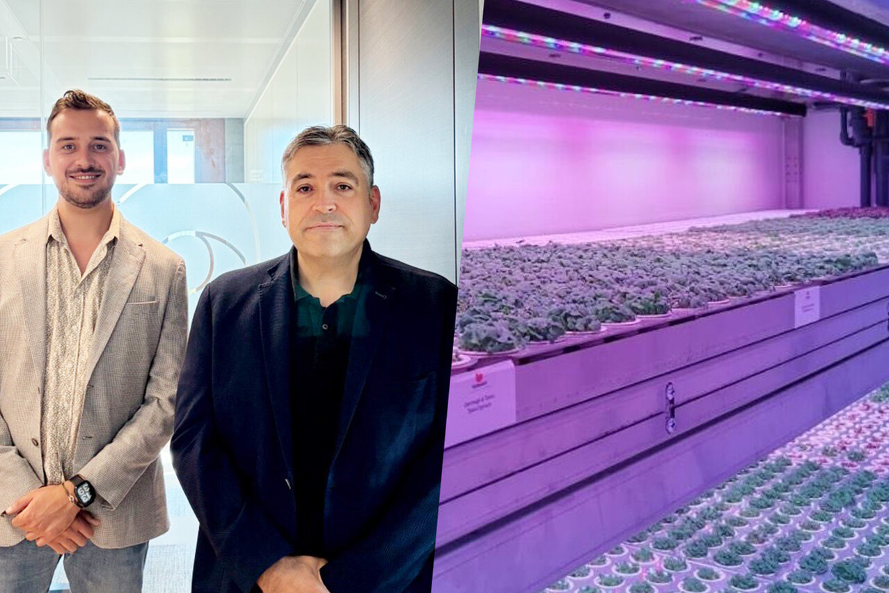 Michel and Luca Greco took over Tetris Farms five months ago and are developing vertical farms capable of producing vegetables all year round, right where they are consumed. (Photo: Tetris Farms. Layout: Paperjam)