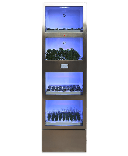 About the size of a fridge, the smallest models allow you to grow herbs and vegetables right in your kitchen or in a small space. (Photo: Tetris Farms)