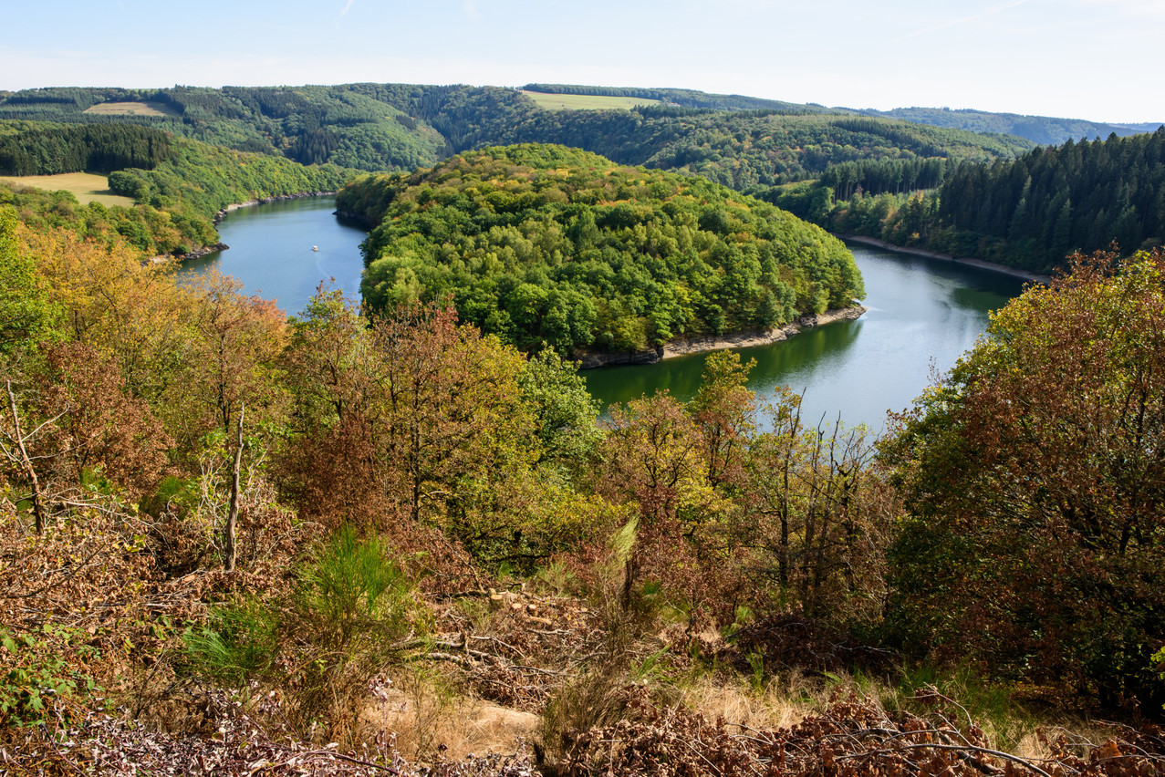 A view of the Upper Sûre Lake. Photo: Shutterstock