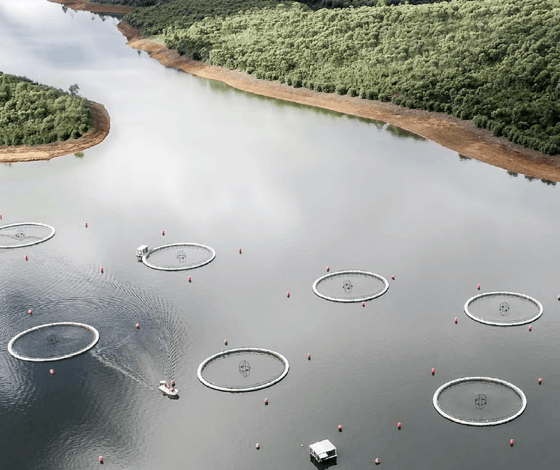 The Rova Caviar sturgeon breeding site in the cool waters of Lake Mantasoa. DR