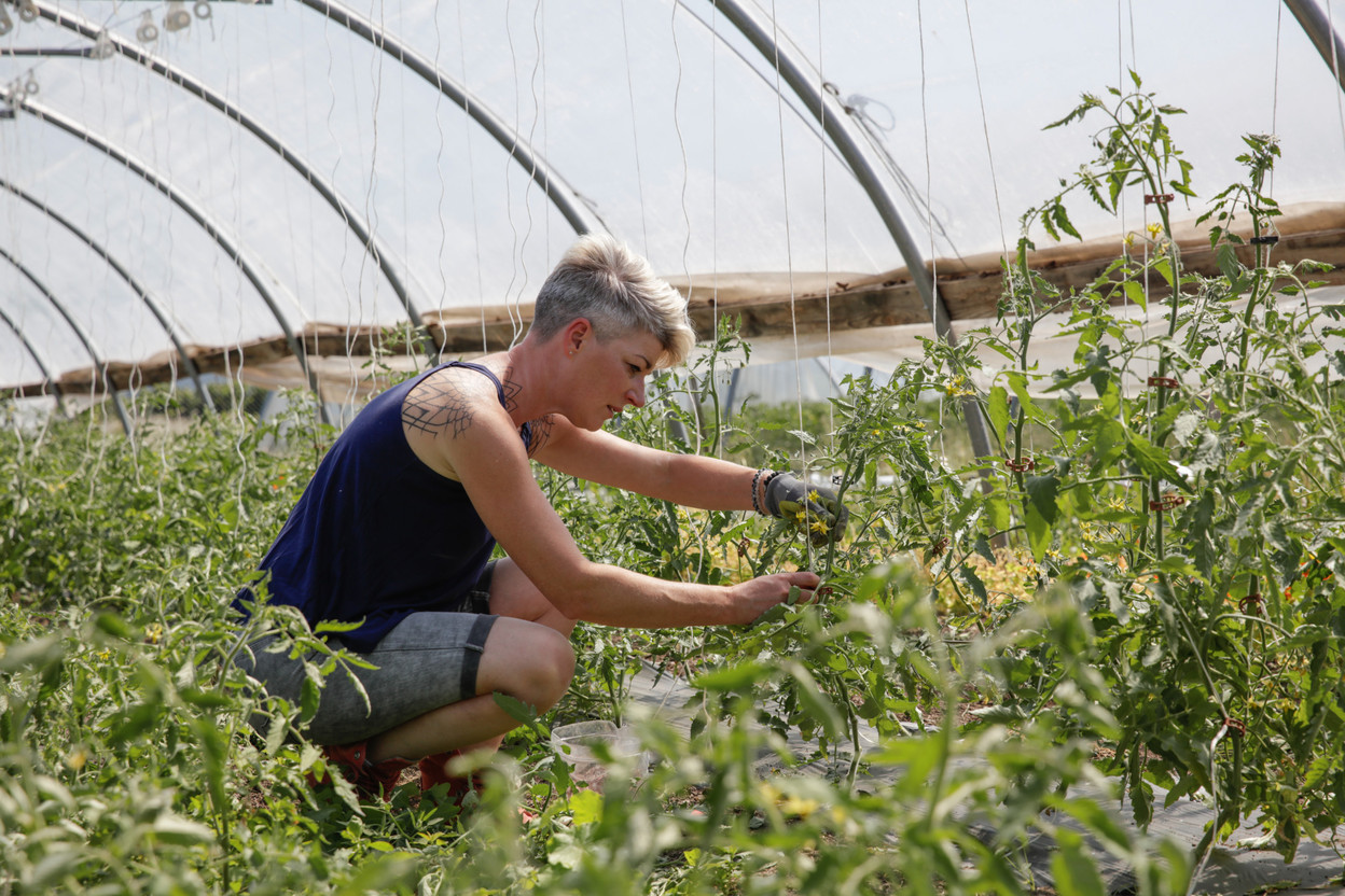 Sandrine Pingeon is pictured at the market gardens she runs in Munsbach Romain Gamba / Maison Moderne