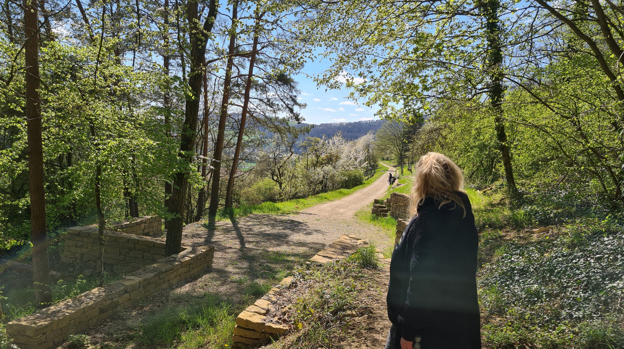 The Moselle might not be the first stop for hikers, but it does offer some excellent trails. Photo: Shutterstock
