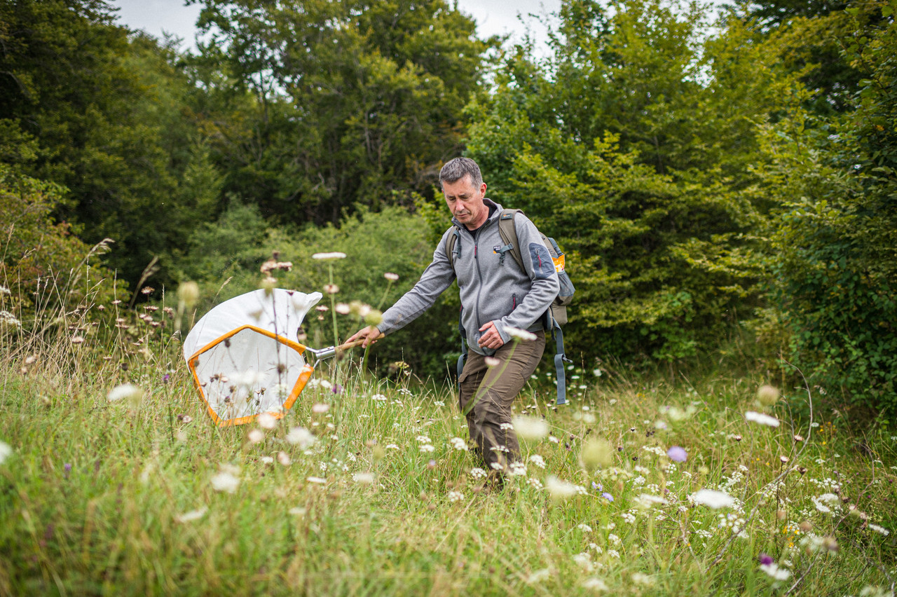  Entomologist Raoul Gerend is pictured at Roudebierg with a sweeping net for collecting insects on the surface of plants. MIKE ZENARI