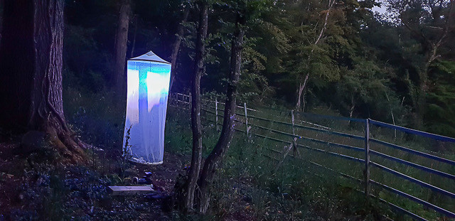  The light tent Gerend uses to attract moths   Raoul Gerend