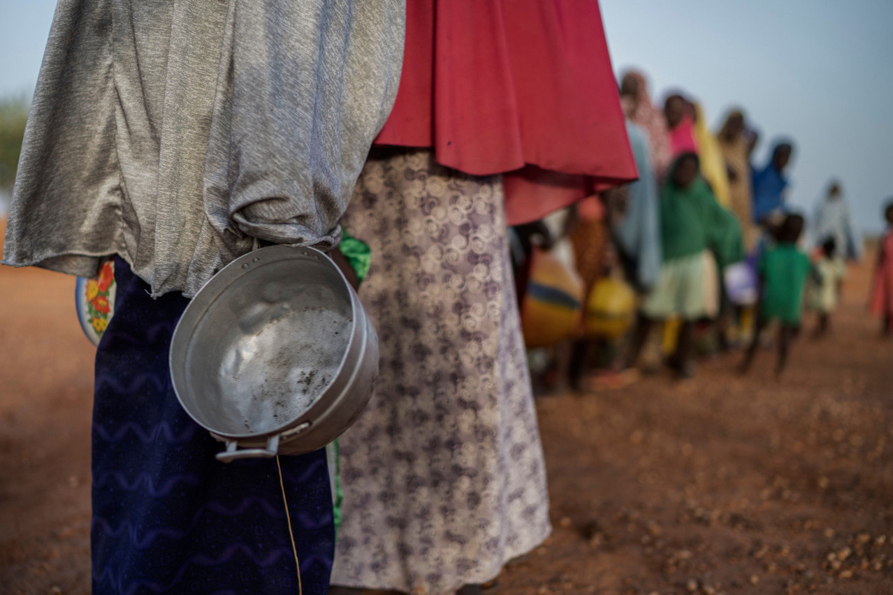 Global demand for food is set to rise by up to 65% by 2050. Even if the situation is improving in some regions, a bigger effort is needed. Photo: Shutterstock