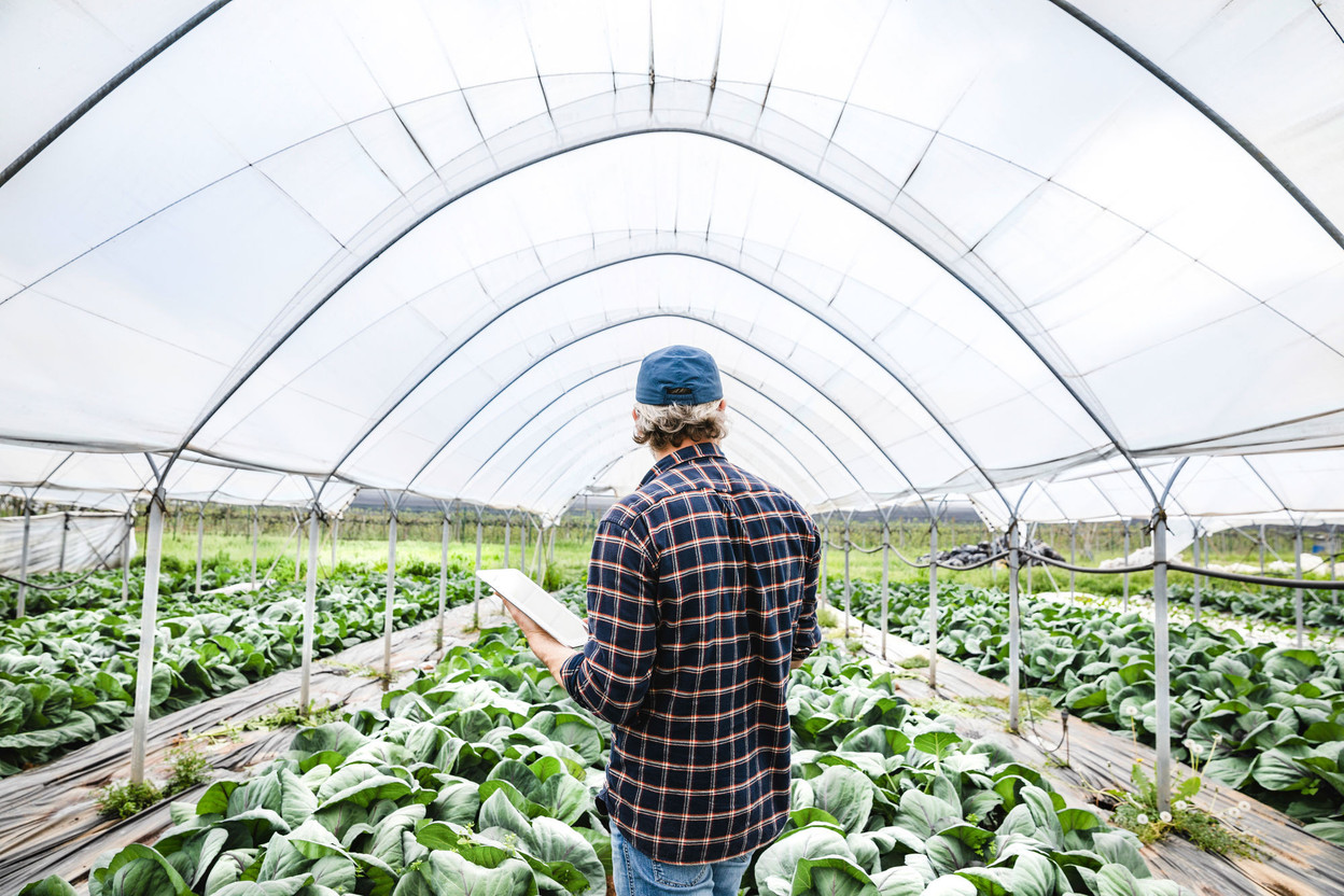 Farmer checking his crop in a greenhouse, using a tablet computer. Crédit photo : UBS