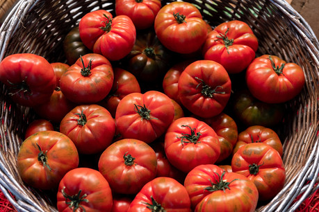La tomate, un enjeu global discuté lors du prochain événement Hungry Planet aux Rotondes. Photo by Iñigo De la Maza on Unsplash