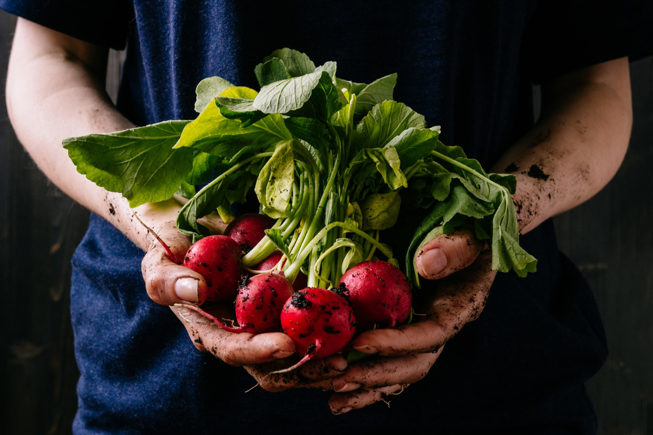 Les légumes sont plus que jamais un élément moteur de la gastronomie internationale, et la cuisine végétale a son «guide vert» avec We're Smart. (Photo: Shutterstock)