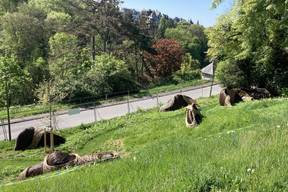 «On the Verge» est une installation paysagère de Léon Kluge. (Photo: Céline Coubray)