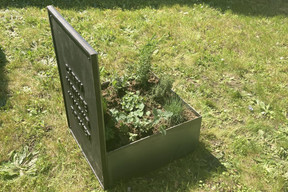 À l’arrière, un jardin miniature se développe. (Photo: Céline Coubray)