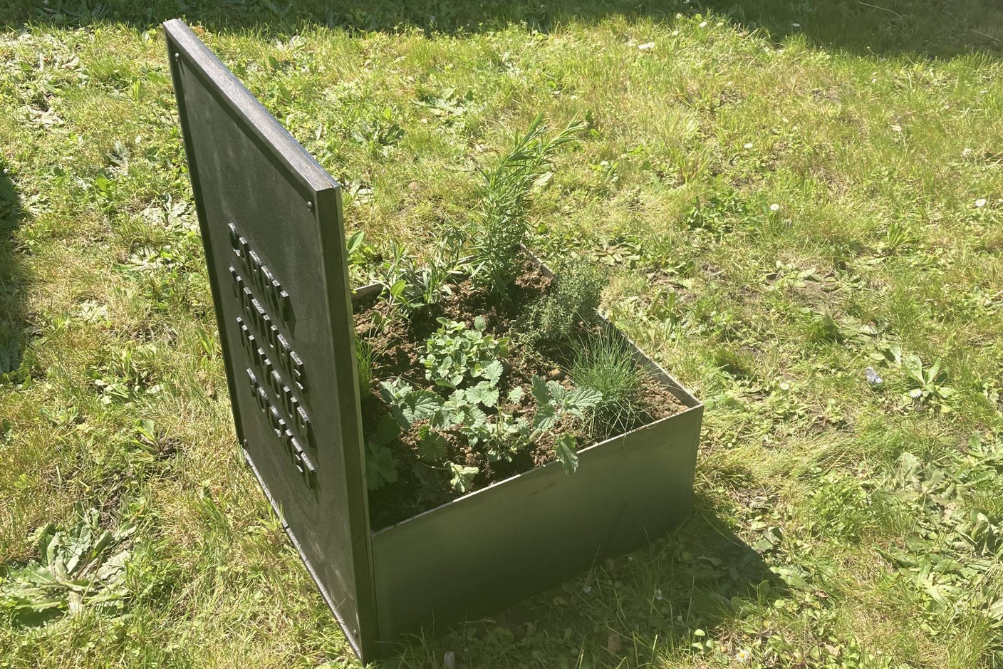 À l’arrière, un jardin miniature se développe. (Photo: Céline Coubray)