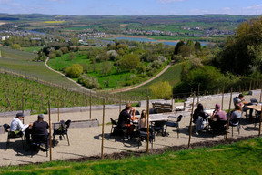 Il est également possible de réaliser des «wine hikes», des randonnées viticoles guidées. (Photo: Visit Remich)