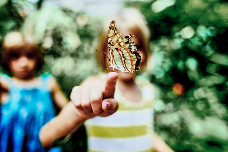 Tout ce que vous devez savoir sur l’investissement durable ING Luxembourg