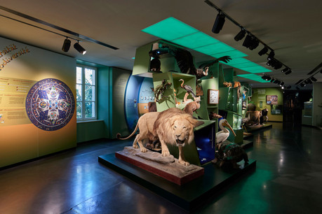 À l’occasion des Luxembourg Museum Days, tous les musées ouvrent leurs portes, dont le Natur Musée. (Photo: Eric Chenal)