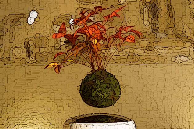 Transformation durable: s’inscrire dans le temps. (Photo: TNP Luxembourg)