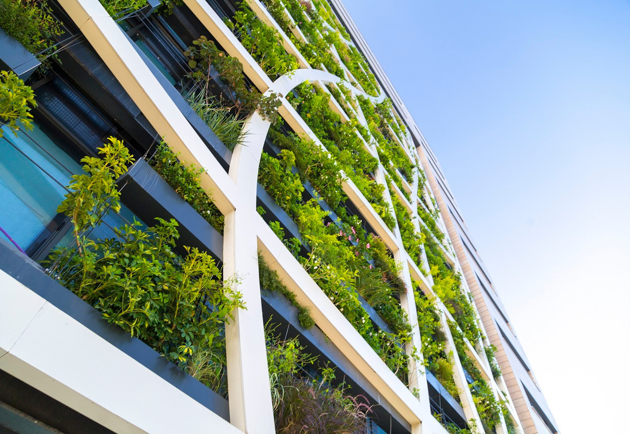 Detail from a living wall covered with a variety of plants, flowers and grass, eco-friendly urban architecture in Tel Aviv, Israel. (Crédit: iStock - 1165312163)