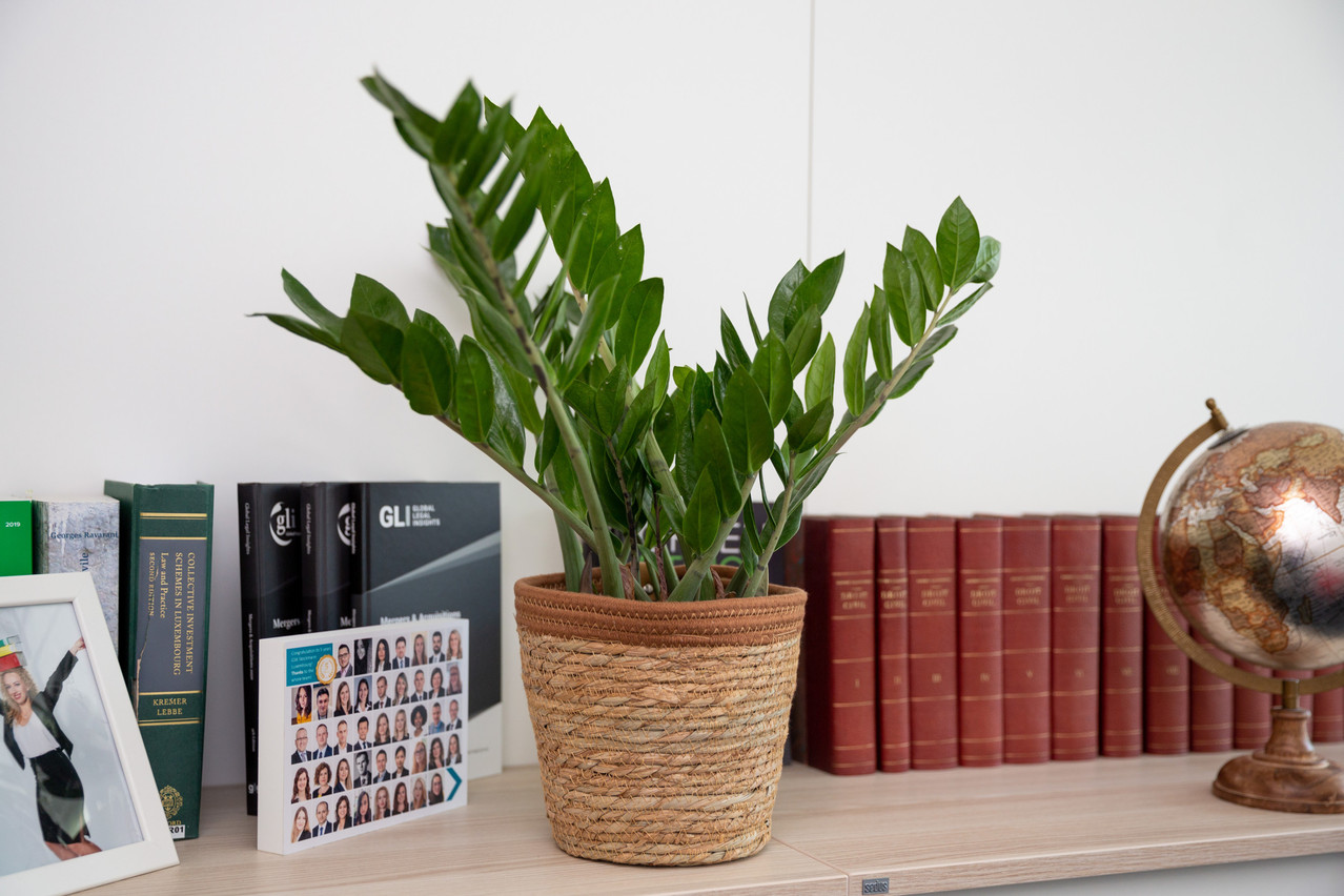 Her “lucky plant”. Photo: Romain Gamba