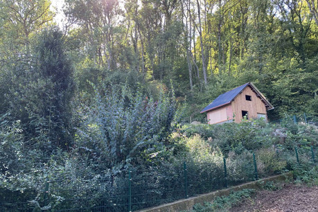 L’abri de jardin de la polémique finira-t-il par être simplement détruit? (Photo: Paperjam)