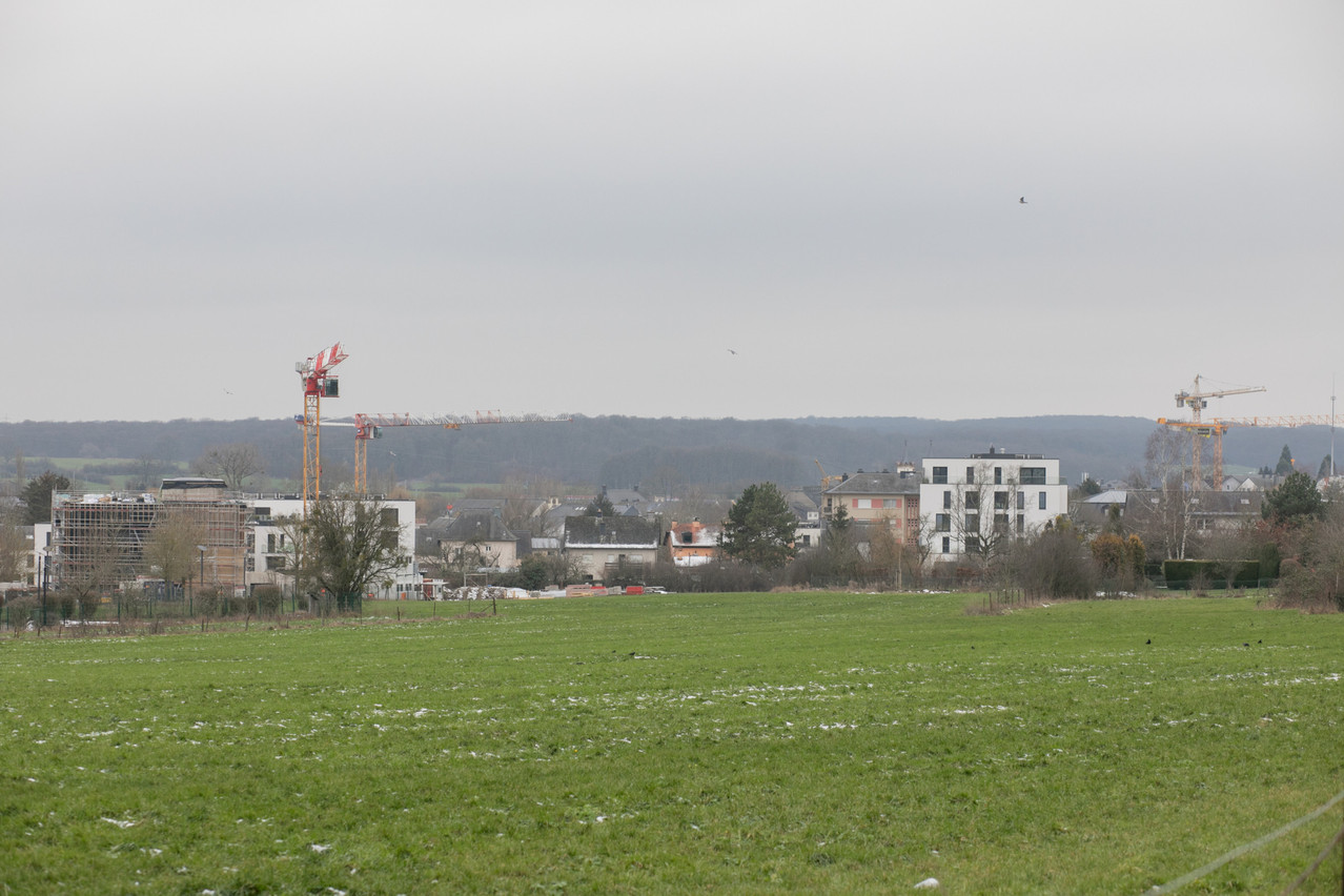 Le prix des terrains à bâtir influence le prix des logements. (Photo: Matic Zorman/archives)