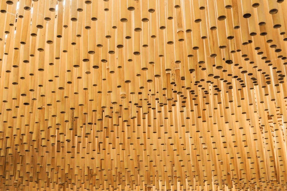 Bamboo roof light. (Photo: Bernard Hermant, Unsplash)