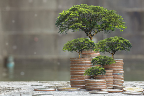 57% des investisseurs à l’échelle mondiale sont à l’aise avec la perspective d’une transition vers un portefeuille entièrement durable. (Photo: Shutterstock)