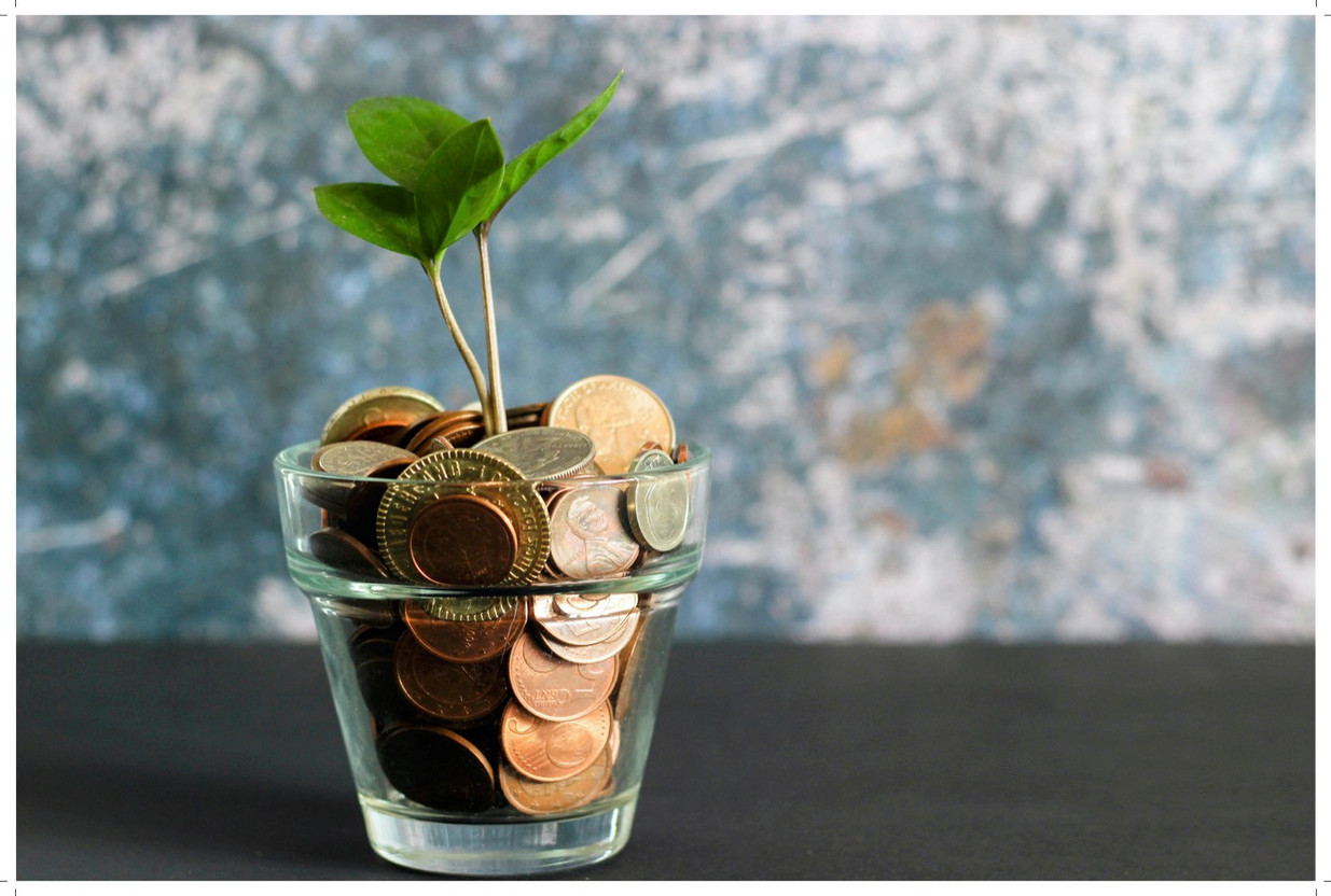 Jeune pousse verte dans un verre rempli de pièces de monnaie. (Photo:  Visual Stories ||  @ Micheile )