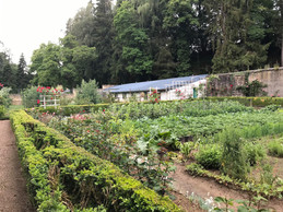 Un beau jardin potager et floral se déploie à l’arrière. (Photo: Paperjam)
