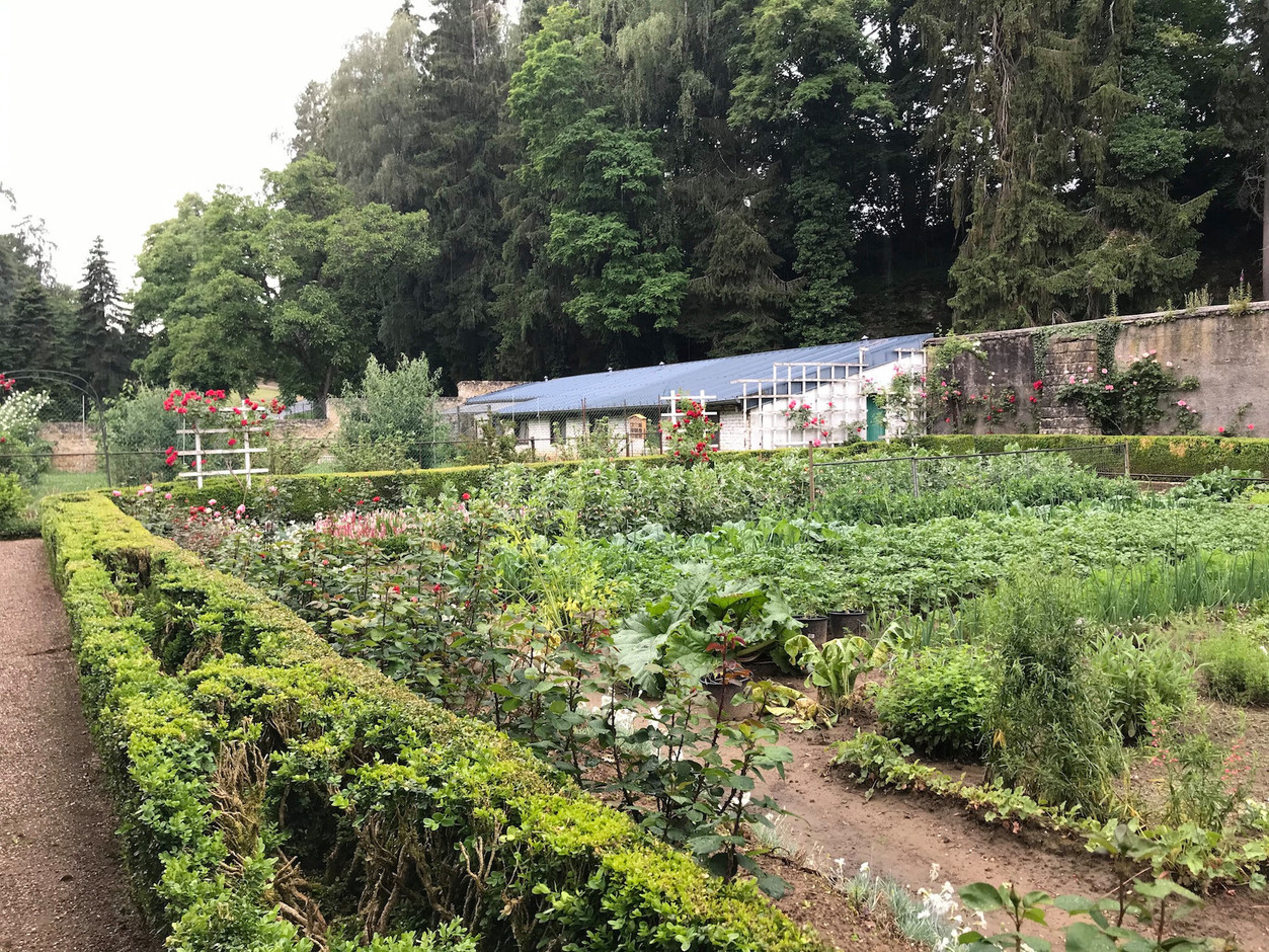 Un beau jardin potager et floral se déploie à l’arrière. (Photo: Paperjam)