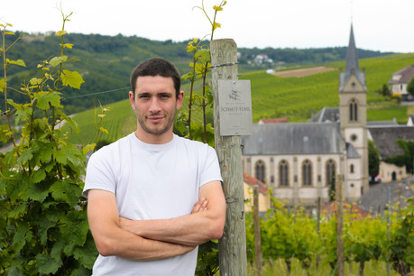 Nicolas Schmit-Fohl et sa famille ont pris toutes les mesures nécessaires pour accueillir les vendangeurs en toute sécurité et leur permettre d’effectuer cette tâche aussi séculaire que nécessaire dans les meilleures conditions possibles. (Photo: Matic Zorman / Maison Moderne)