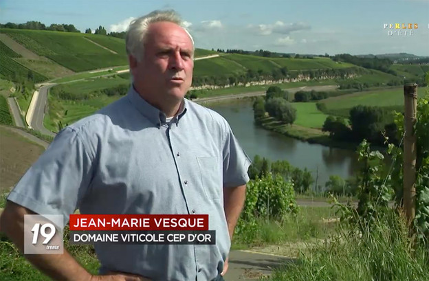 La RTBF est allée à la rencontre d’un viticulteur indépendant, Jean-Marie Vesque (Domaine viticole Cep d’Or). (Illustration: Capture d'écran/RTBF)