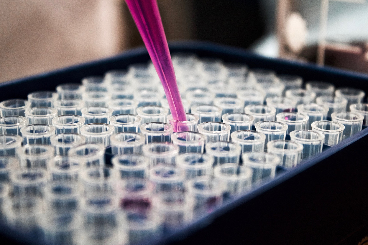 Le VIH pourrait être éradiqué à moyen terme, sous l’effet conjugué des politiques de prévention et des progrès de la science. (Photo : Candriam)