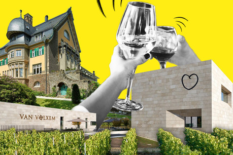 Le projet transfrontalier Via Mosel’ va permettre de découvrir le terroir viticole de la Moselle dans les trois pays qu’elle traverse, au fil de ses quatre appellations et avec l’architecture comme trait d’union. (Design: Sascha Timplan/Maison Moderne)