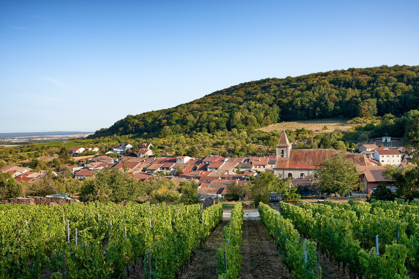 Beilstein, en Allemagne, ou Lucey, en France, sont eux aussi une partie intégrante de Via Mosel’, qui se joue des frontières pour mettre en valeur le terroir de la Grande Région.                               (Photo: Christopher Arnoldi)