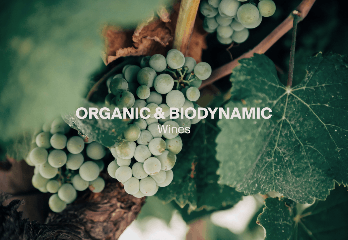 Le vin biodynamique est un vin pour lequel les cépages n’ont reçu aucun traitement chimique ni désherbant. (Photo: Wengler Châteaux & Domaines) 