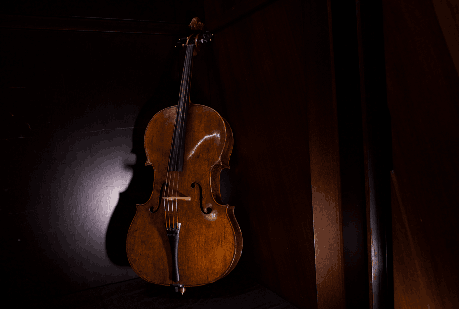 Violoncelle (Photo: Sophie Delhaye)