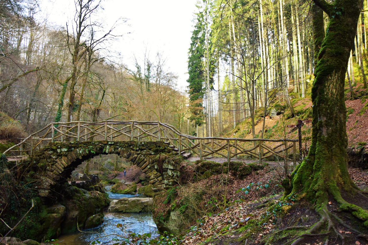Hiking paths around Luxembourg will get an update taking into consideration changes to the landscape that have occurred over the last 60 years. Photo: Shutterstock