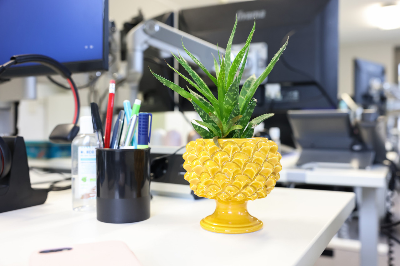 A Sicilian pinecone brings a bright touch to her desk. Photo: Marie Russillo / Maison Moderne