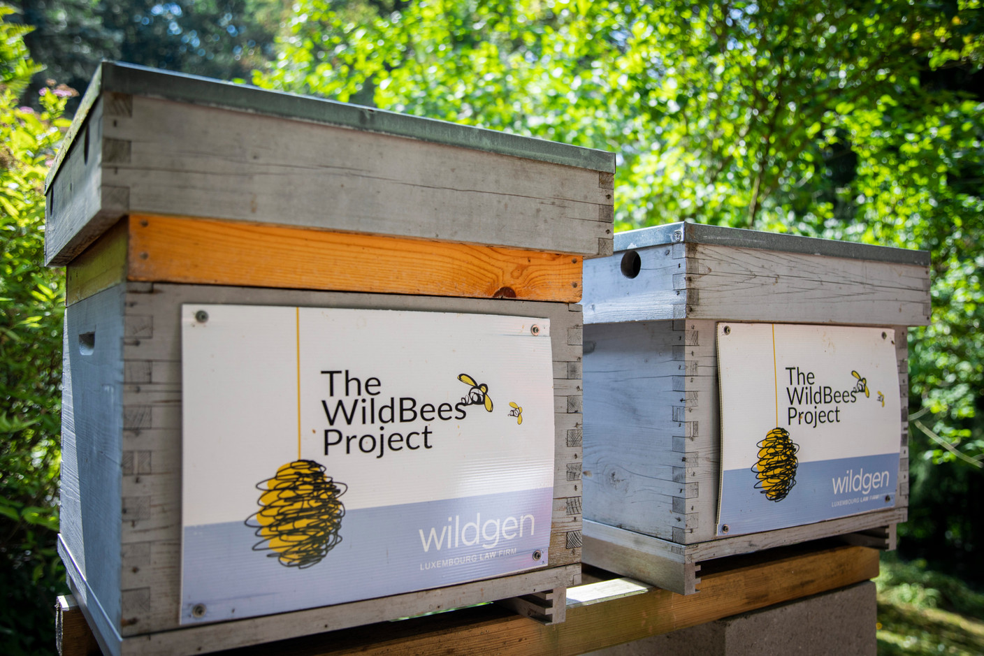 Wildgen s’est lancé dans sa propre production de miel (Photo: Patricia Pitsch - Maison Moderne Publishing SA)