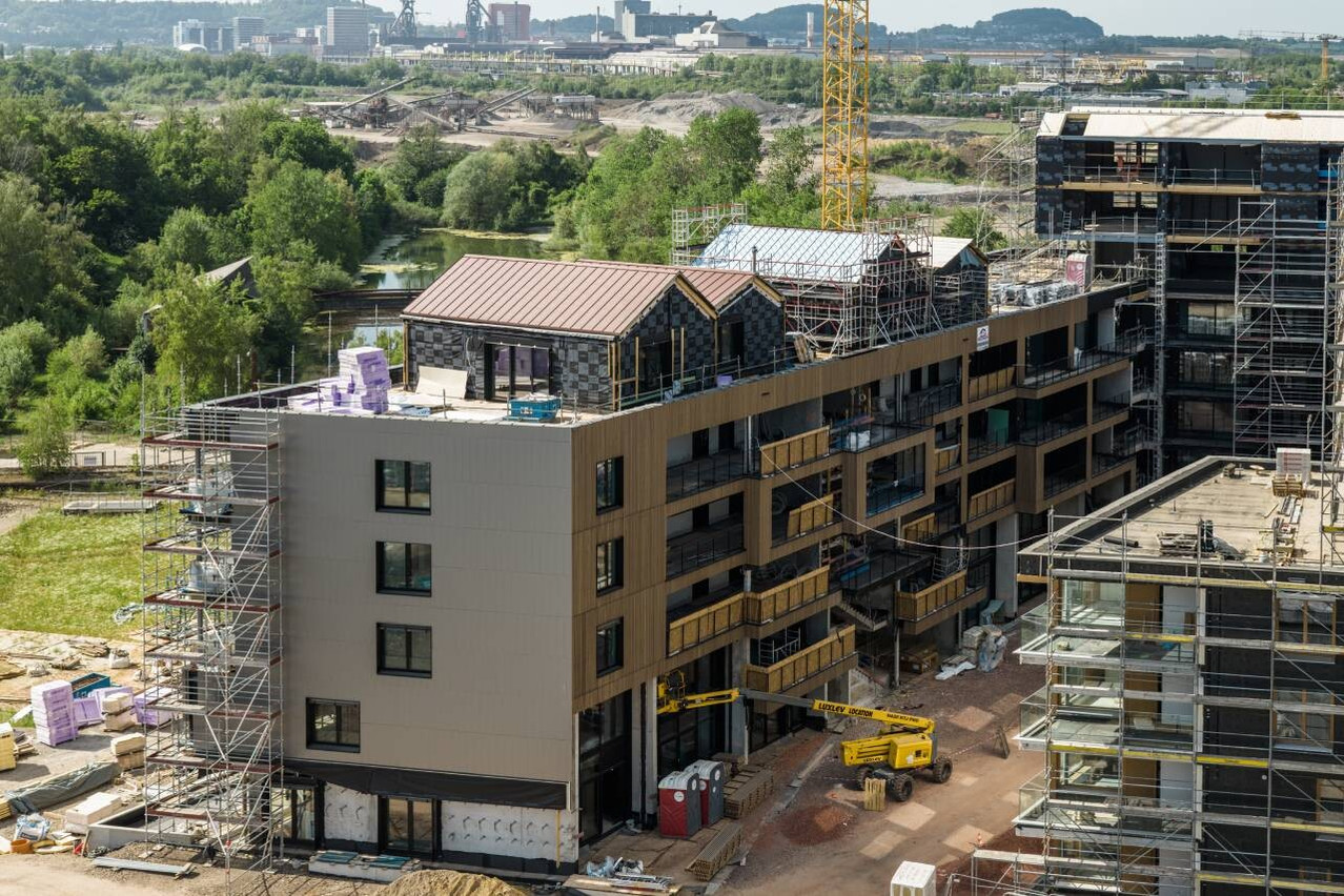 Located in the Rout Lëns eco-neighbourhood in Esch-sur-Alzette, D’Haus comprises 95 homes within a timber structure manufactured at the Leko Labs factory in Foetz. (Photo: Leko Labs)