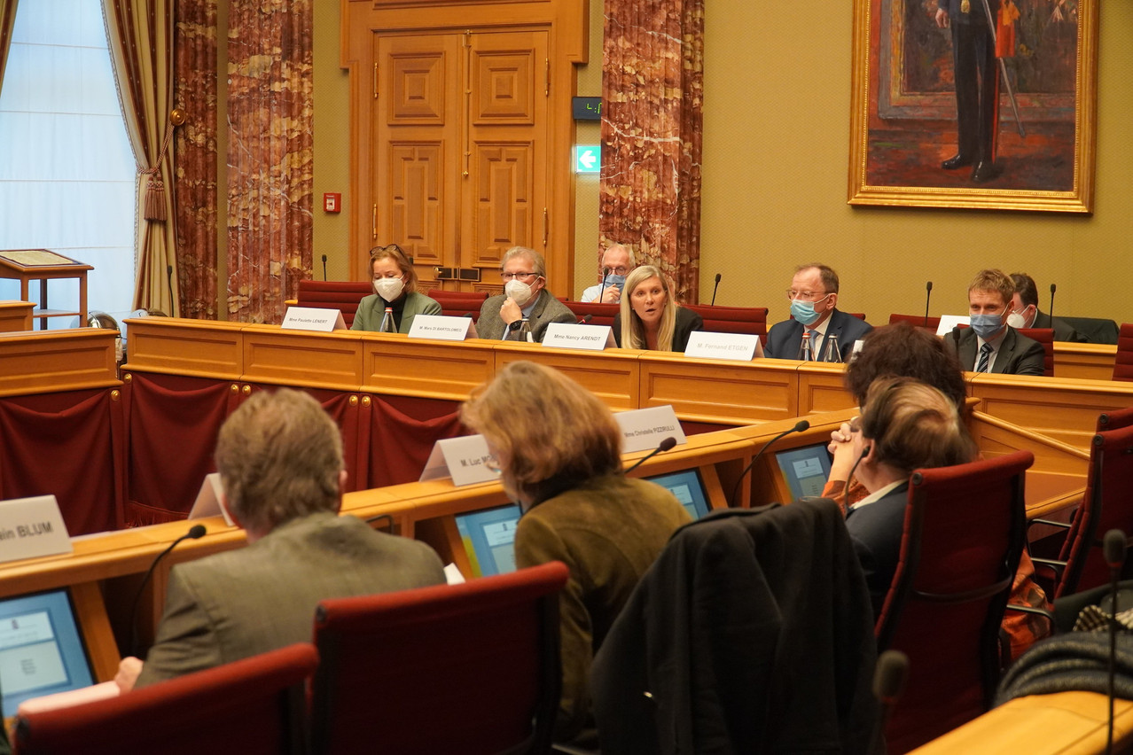 Working conditions and medical facilities will be on the Chamber of Deputies’ agenda following several successful public petitions. Library picture: MPs are seen debating two covid-19 vaccination petitions, 12 January 2022. Photo credit: Chamber of Deputies