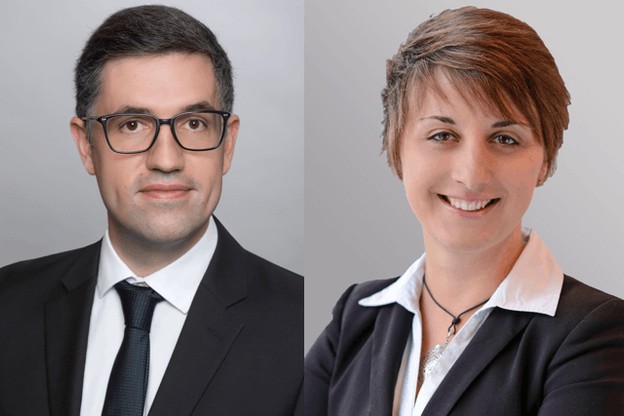 Structuring of family businesses - corporate law and litigation