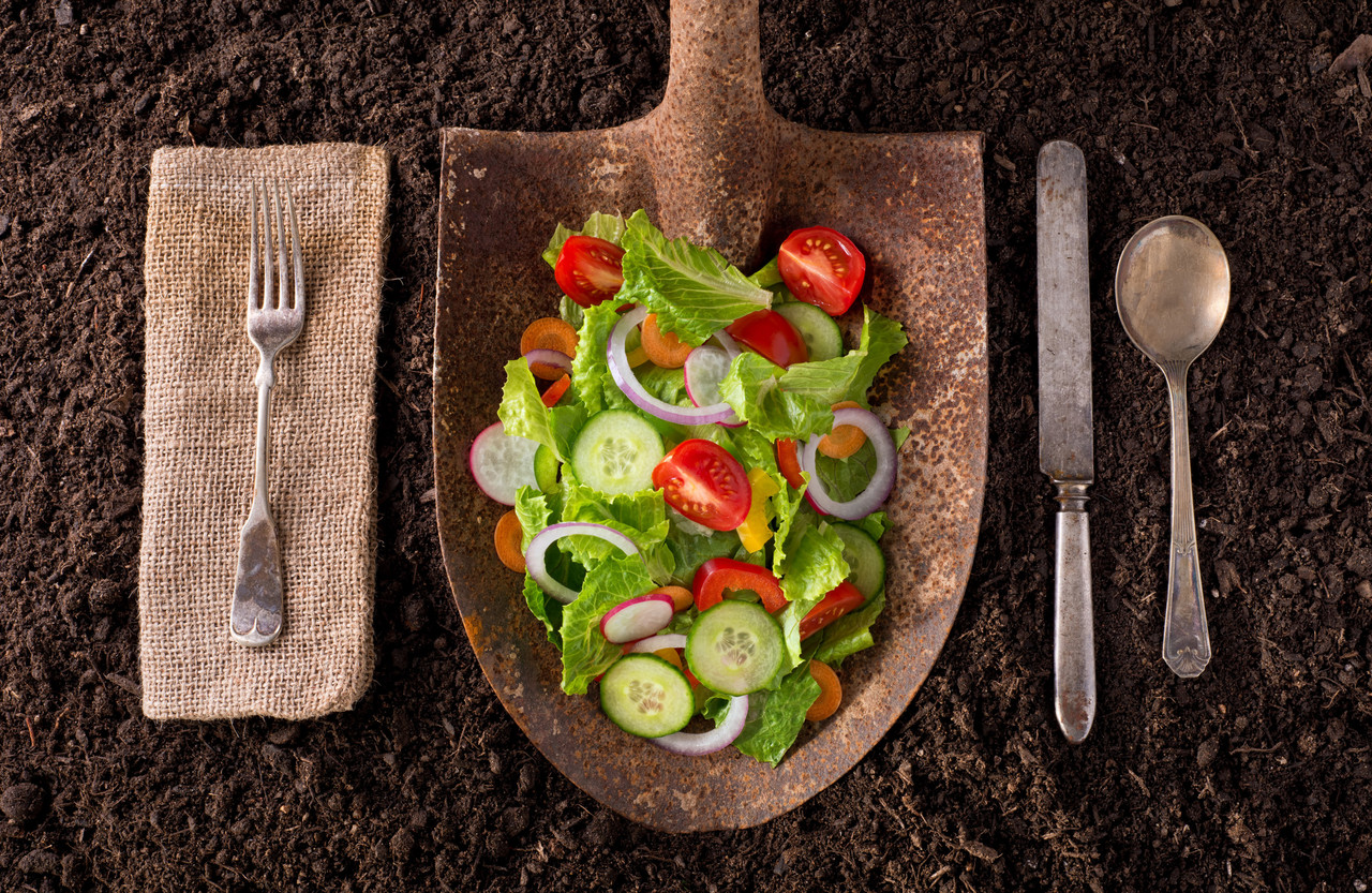 Garden salad organic farm to table healthy eating concept on soil background. Copyright (c) 2014 Foodio/Shutterstock. No use without permission.