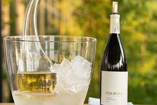 Get a taste of wines from the South Africa. Taste of Africa