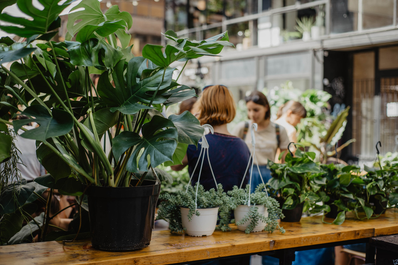 Be inspired by gardening ideas at LuxExpo The Box from 17-19 March. Photo: Shutterstock
