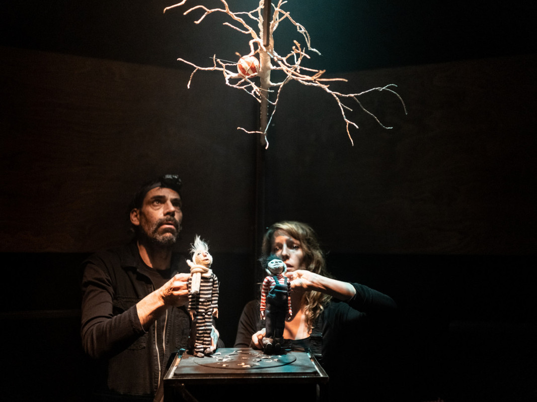 Festival Delano News