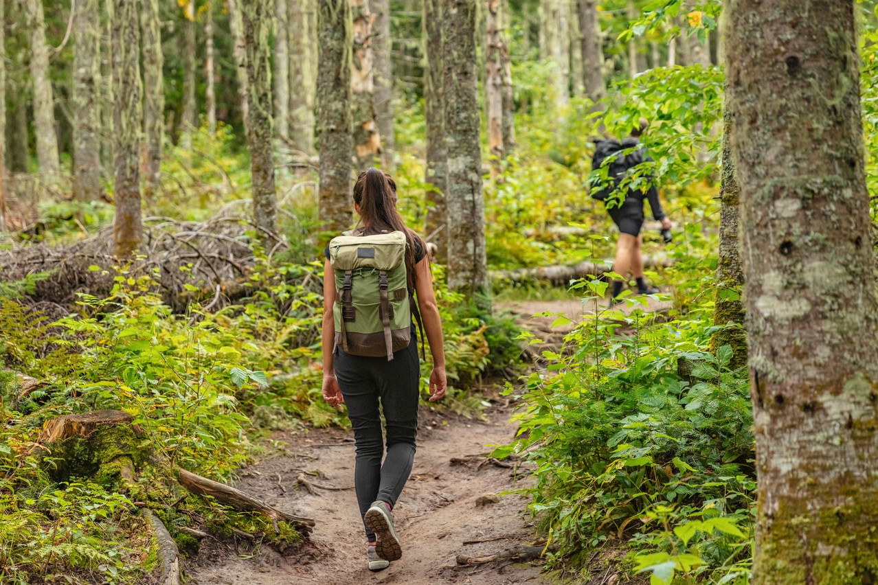 Guided nature walks deals near me
