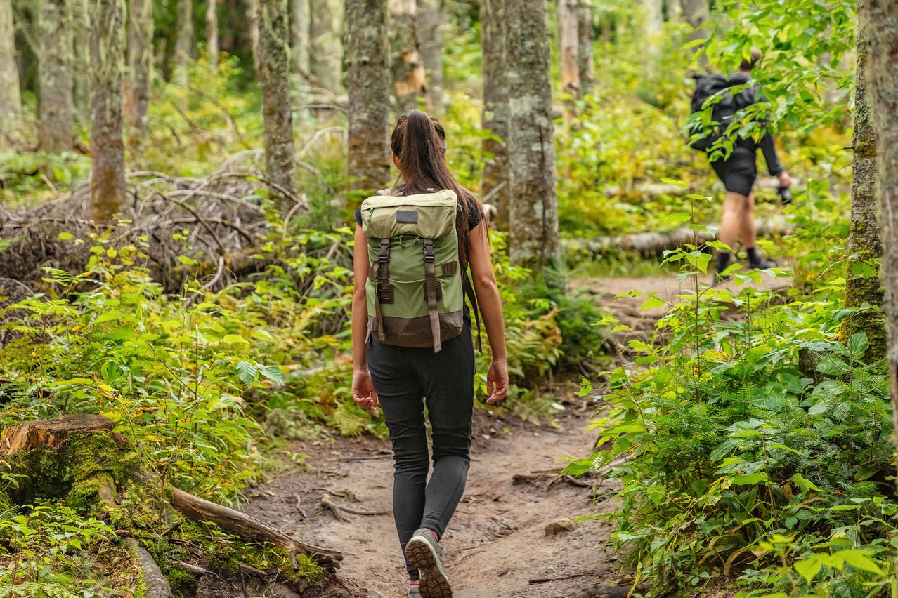 Clervaux’s tourist centre is organising a 9km guided hike on Sunday 28 July 2024, during which you can taste some regional products. Photo: Shutterstock